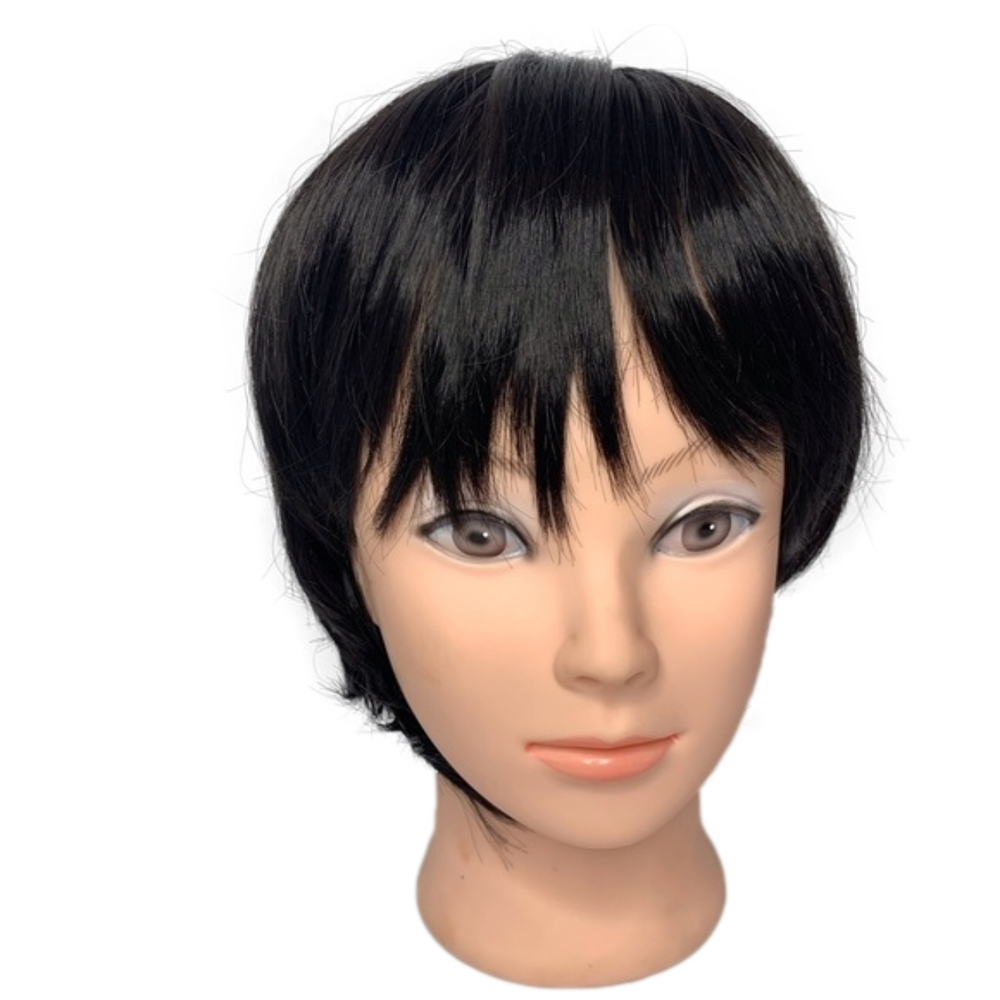 Short Synthetic Hair Wig